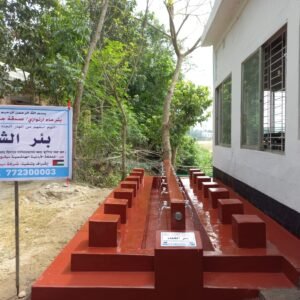 Artesian well - F