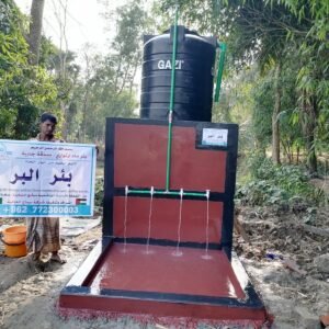 Artesian well - E